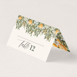 Citrus orange botanische moderne rustikale Platzka