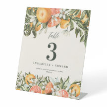 Citrus orange botanische moderne rustikale Tischnu