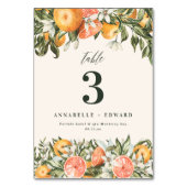 Citrus orange botanische moderne rustikale Tischnu Tischnummer (Vorderseite)