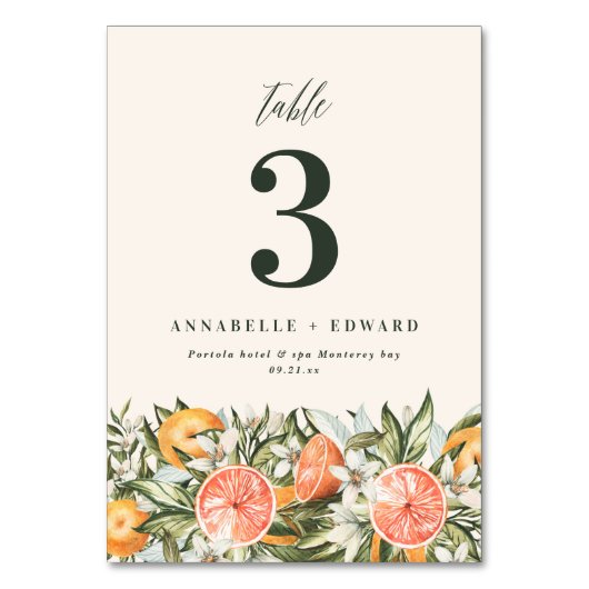 Citrus orange botanische moderne rustikale Tischnu Tischnummer (Rückseite)