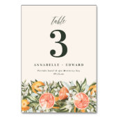 Citrus orange botanische moderne rustikale Tischnu Tischnummer (Vorderseite)