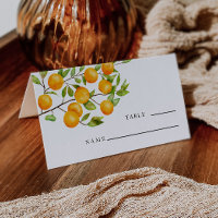 Citrus Orange Wedding Tischnummer