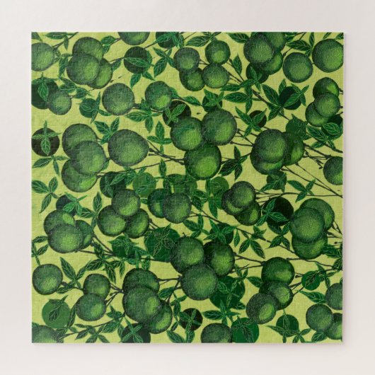 Citrus Puzzle (Horizontal)