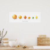 Citrus-Sammlung Poster (Küche)