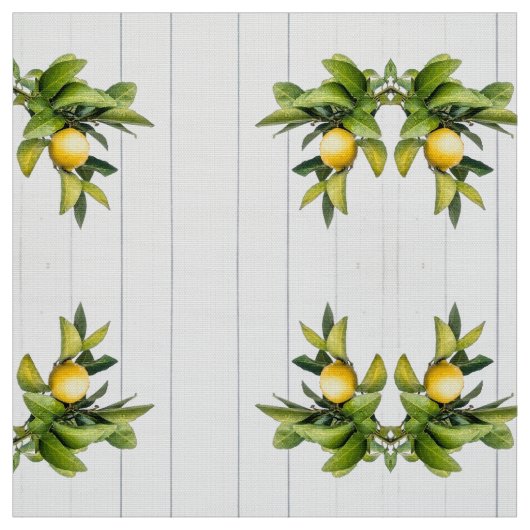 Citrus Stoff (Muster)