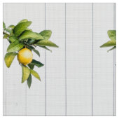 Citrus Stoff (Nahaufnahme)