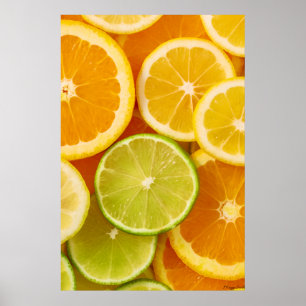 Citrus Symphony Poster
