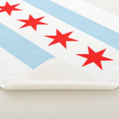 City Flag of Chicago (Illinois) Sherpadecke (3/4)