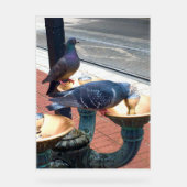 City Fountain Pigeons  Acrylschild (Vorderseite)