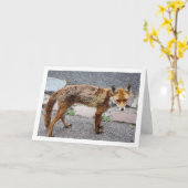 City Fox auf der Straße Karte (Gelbe Blume)