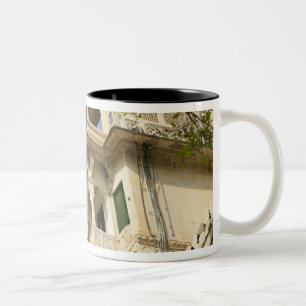 City Palace, Udaipur, Rajasthan, Indien Zweifarbige Tasse