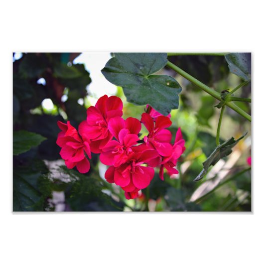 City Terrace Fotodruck (Vorne)