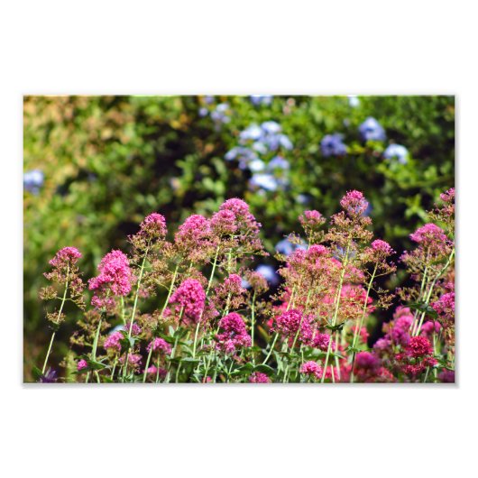 City Terrace Fotodruck (Vorne)