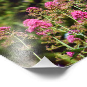 City Terrace Fotodruck (Ecke)