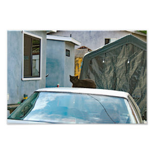 City Terrace Fotodruck