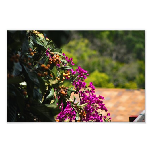 City Terrace Fotodruck (Vorne)