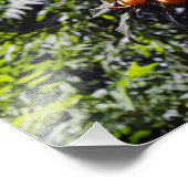 City Terrace Fotodruck (Ecke)