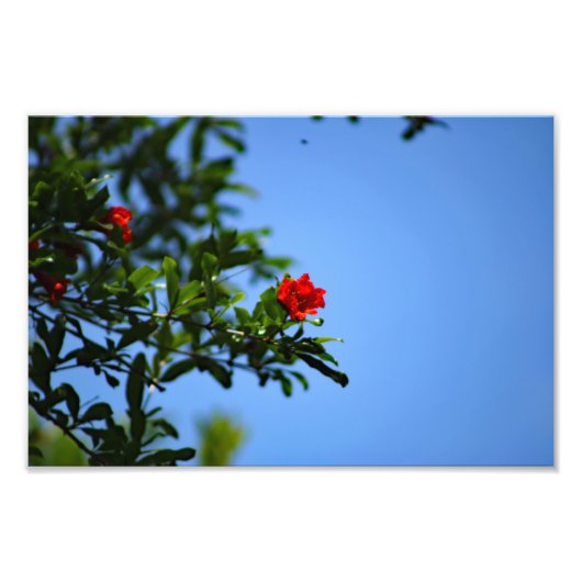 City Terrace Fotodruck (Vorne)