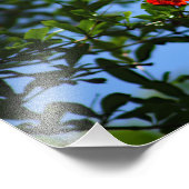 City Terrace Fotodruck (Ecke)