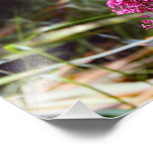 City Terrace Fotodruck (Ecke)