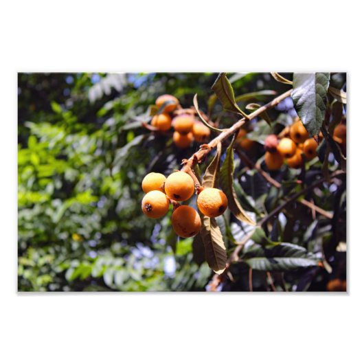 City Terrace Fotodruck (Vorne)