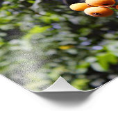 City Terrace Fotodruck (Ecke)