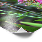 City Terrace Fotodruck (Ecke)