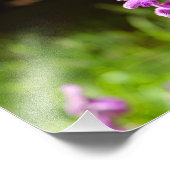 City Terrace Fotodruck (Ecke)