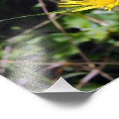 City Terrace Fotodruck (Ecke)