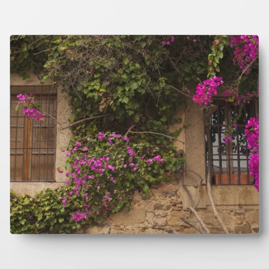 Ciudad Monumental, Gebäude mit Blume Fotoplatte (Vorderseite)