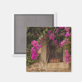Ciudad Monumental, Gebäude mit Blume Magnet (Vorderseite/Rückseite)