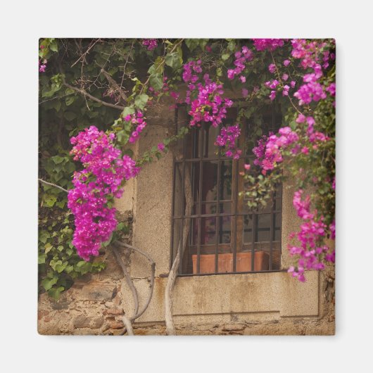 Ciudad Monumental, Gebäude mit Blume Magnet (Vorne)