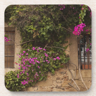 Ciudad Monumental, mit Blumen bedeckte Gebäude Untersetzer