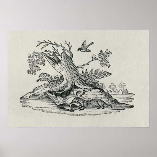 Civet mit Cockerel aus der "Geschichte der Quadrup Poster (Vorne)