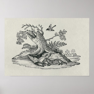 Civet mit jungem Hahn 'von der Geschichte von Poster