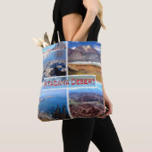 CL Atacama Wüste - Grüne Lagune - Salar de Talar Tasche (Von Nahem)