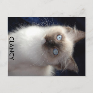 cla1, CLANCY Postkarte