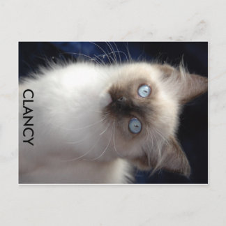 cla1, CLANCY Postkarte