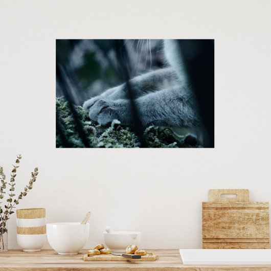 Clad in Velvet Poster (Küche)