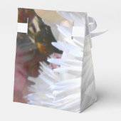Claicia Geschenkschachtel (Rückseite)