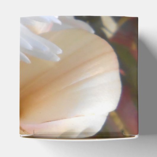 Claicia Geschenkschachtel (Oben)