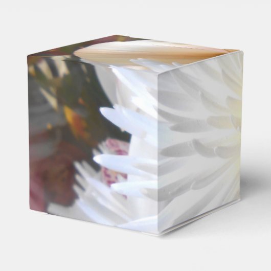 Claicia Geschenkschachtel (Rückseite)