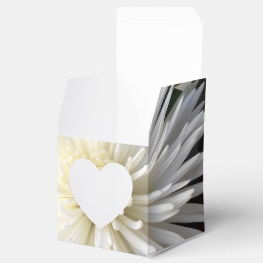 Claicia Geschenkschachtel (Geöffnet)