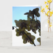 Clair de Fleur Karte (Gelbe Blume)