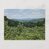 Clair - Shenandoah-Nationalpark Postkarte (Vorderseite)