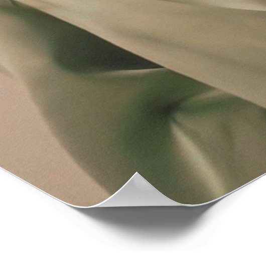 Clairo  green  poster (Ecke)