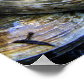 Clam Bake Poster (Ecke)