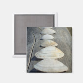 Clam Muscheln Magnet (Vorderseite/Rückseite)