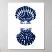 Clam Muscheln Navy Beach Deco Poster (Vorne)