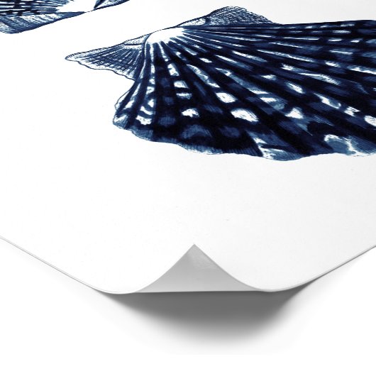 Clam Muscheln Navy Blue Beach Dekoration (Ecke)